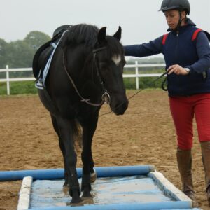 Athena, NF pony