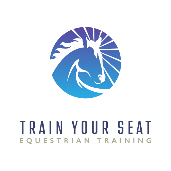 TRAIN YOUR SEAT - ALLE 3 MODULER