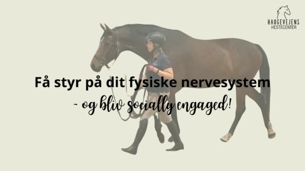 Få styr på dit fysiske nervesystem