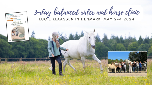 Lucie Klaassen clinic