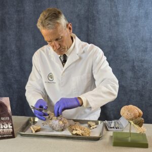 Horse Brain Science Clinic
